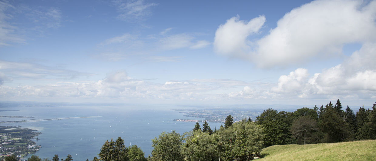 Aussichtsberg Pfänder