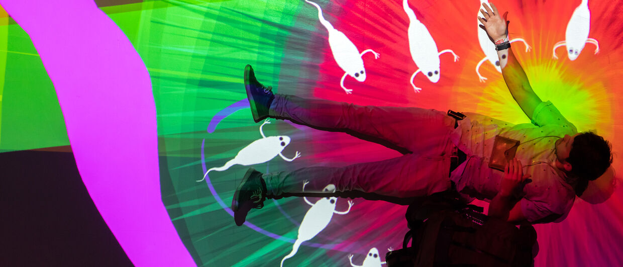 Ars Electronica Festival, "Tagtool Projection Mapping OMAi"