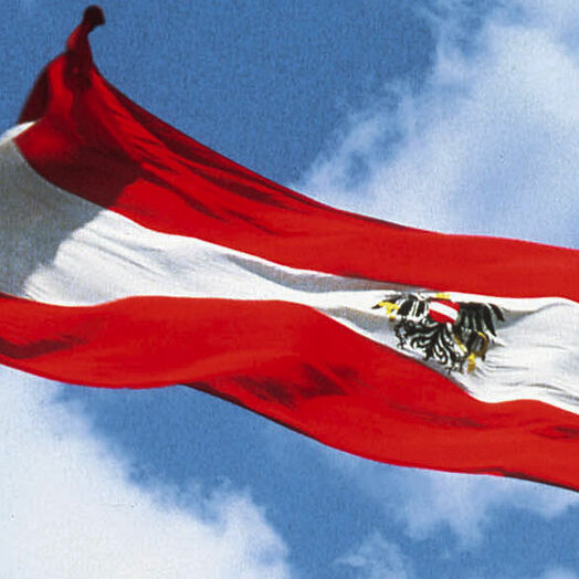 Austrian flag in front of the parliament in Vienna