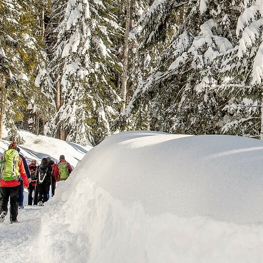 Winterwandern in der Olympiaregion Seefeld