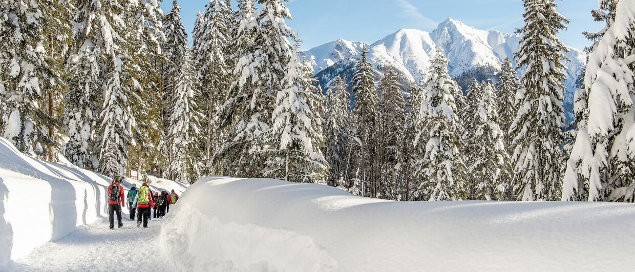 Winterwandern in der Olympiaregion Seefeld