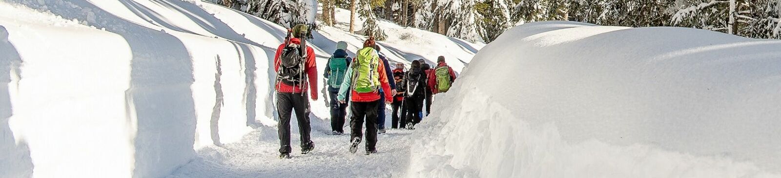 Winterwandern in der Olympiaregion Seefeld
