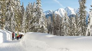 Winterwandern in der Olympiaregion Seefeld