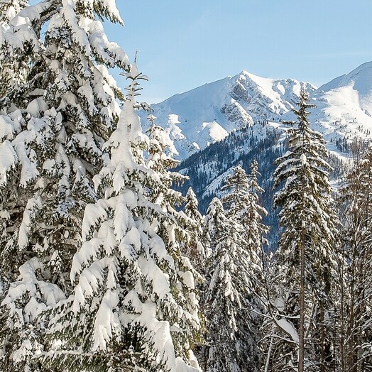 Winterwandern in der Olympiaregion Seefeld