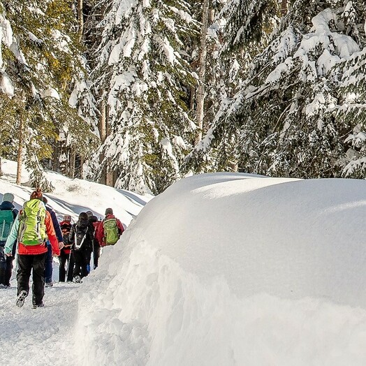 Winterwandern in der Olympiaregion Seefeld