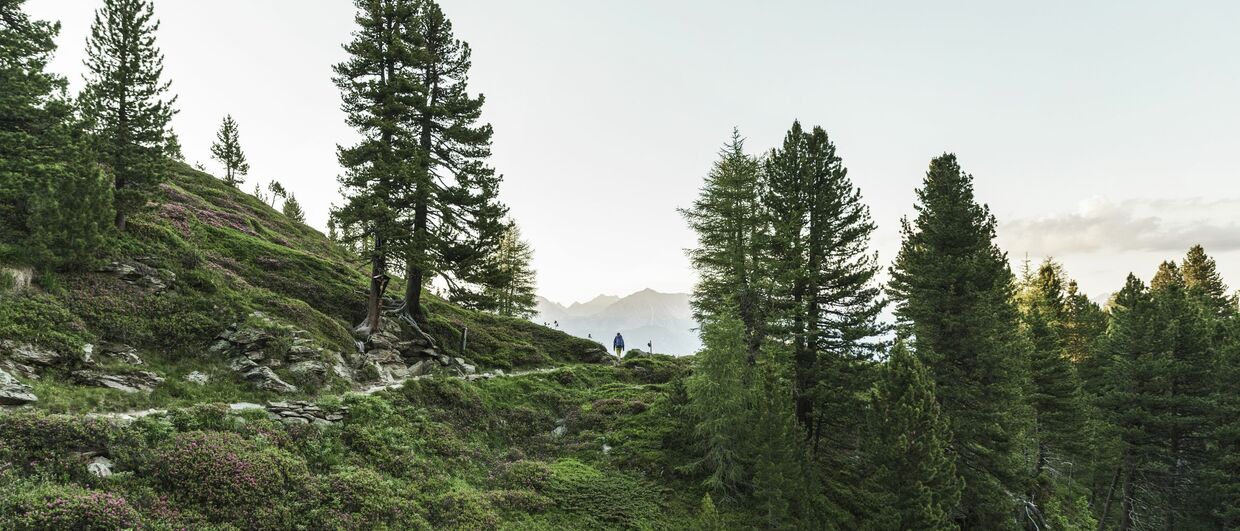 Inntaler Höhenweg
