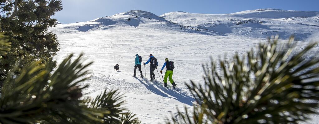 Schneeschuhwanderungen im Kleinwalsertal in Vorarlberg