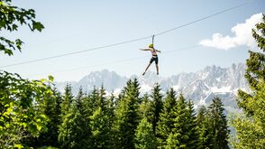 Kletterwald Hornpark