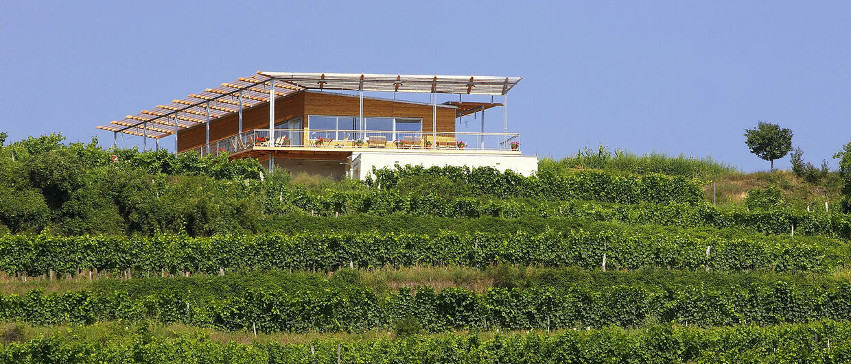„Weinbeisserei“ in Mollands im Kamptal
