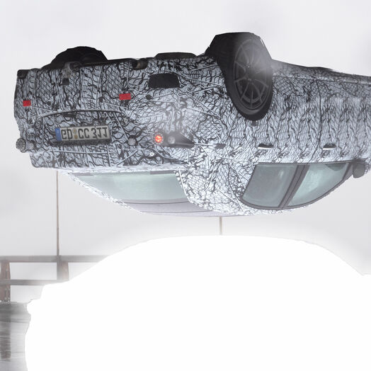 Ausstellung Serpentine: Installation "Erlkönig", Ralo Mayer