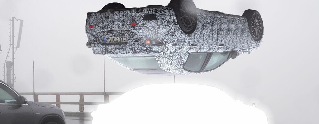 Ausstellung Serpentine: Installation "Erlkönig", Ralo Mayer