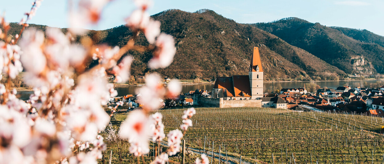 Wachau (c) Oesterreich Werbung Sommertage Blog