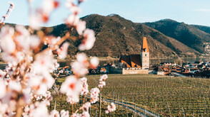 Wachau (c) Oesterreich Werbung Sommertage Blog