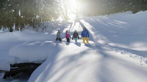 Auf stillen Wegen durch die Urlaubsregion Pyhrn-Priel