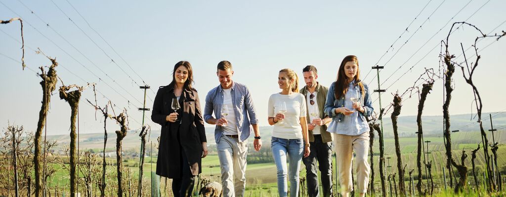 „In die Grean gehen“ im Weinviertel