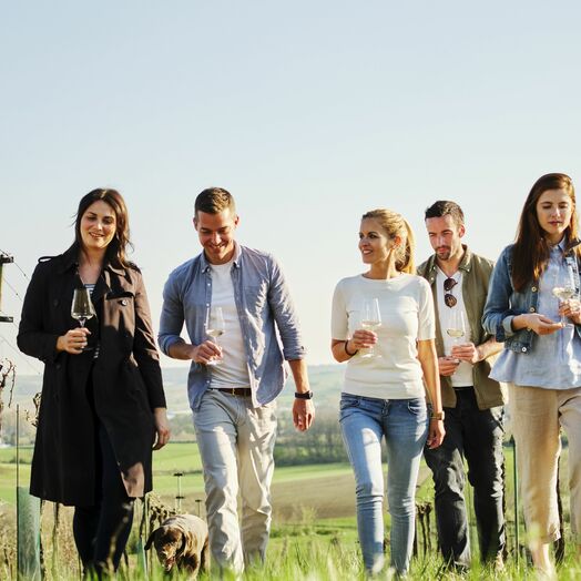 „In die Grean gehen“ im Weinviertel