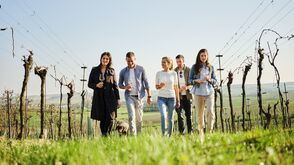 „In die Grean gehen“ im Weinviertel