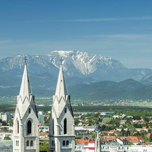 Wiener Neustadt mit Dom