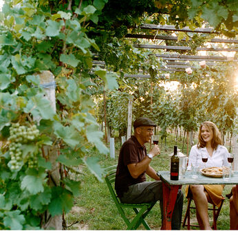 Burgenland Wine Country