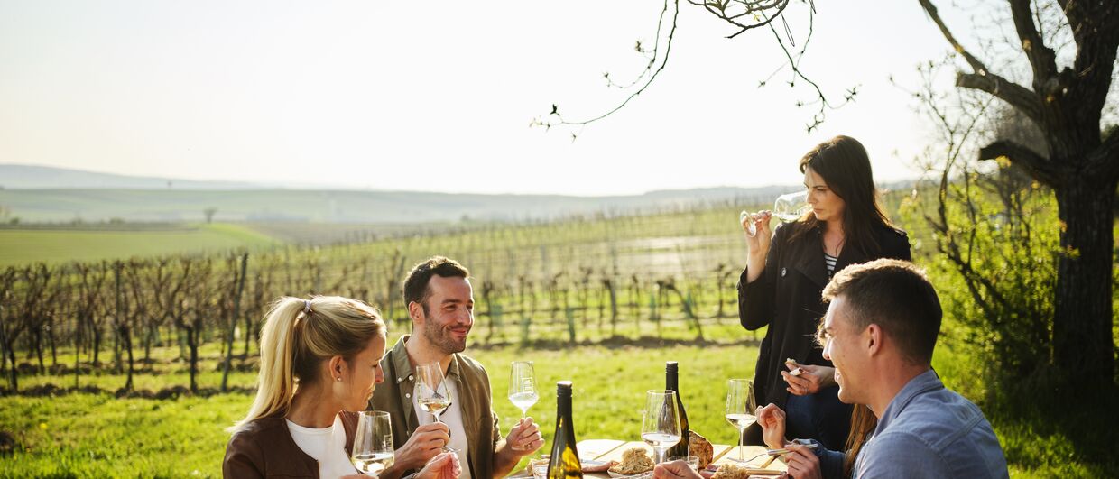 „In die Grean gehen“ im Weinviertel