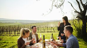 „In die Grean gehen“ im Weinviertel