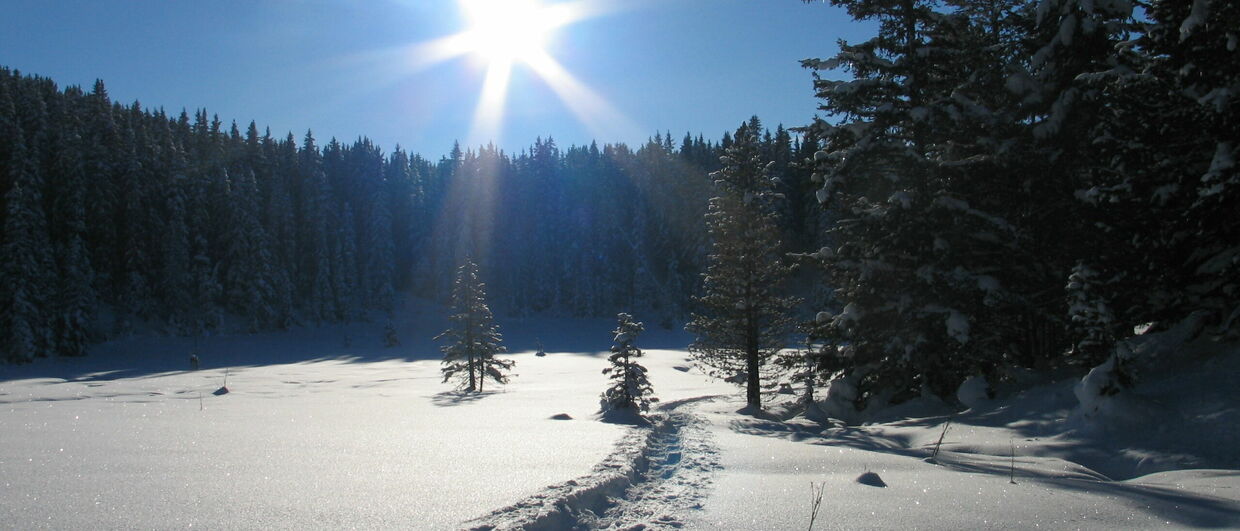 Winterwandern im Tiroler Pitztal
