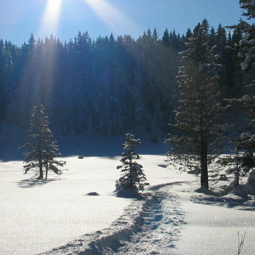 Winterwandern im Tiroler Pitztal