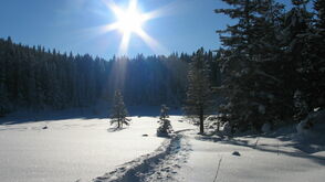 Winterwandern im Tiroler Pitztal