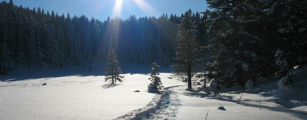 Winterwandern im Tiroler Pitztal