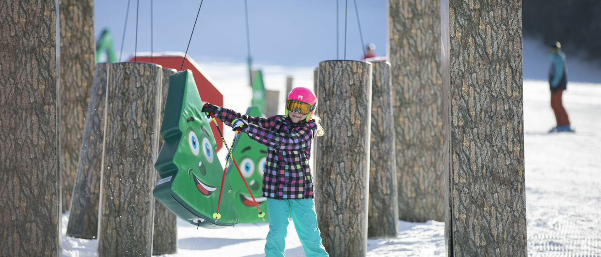 Skigebiet Alpbachtal-Wildschönau in Tirol