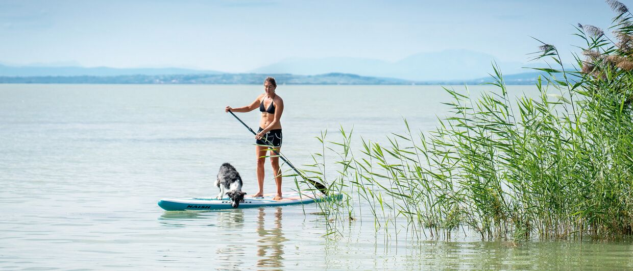 Standup-Paddling am Neusiedler See