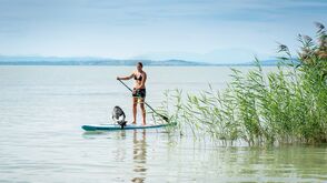 Standup-Paddling am Neusiedler See