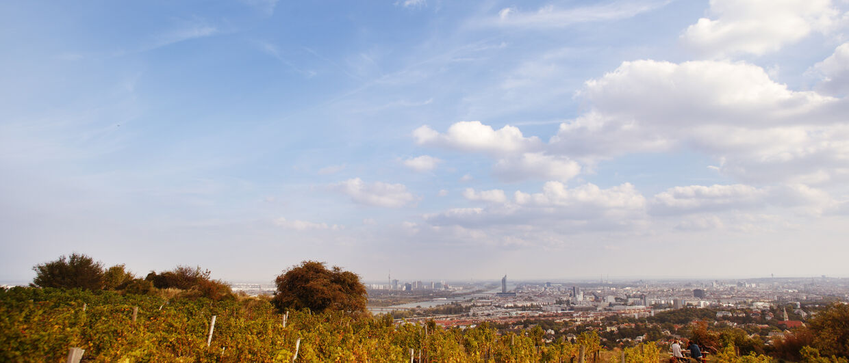 Weingut Wieninger am Nussberg