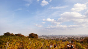 Weingut Wieninger am Nussberg