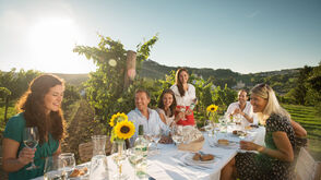 Dinner in a vineyard