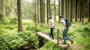 Wandern im Waldviertel