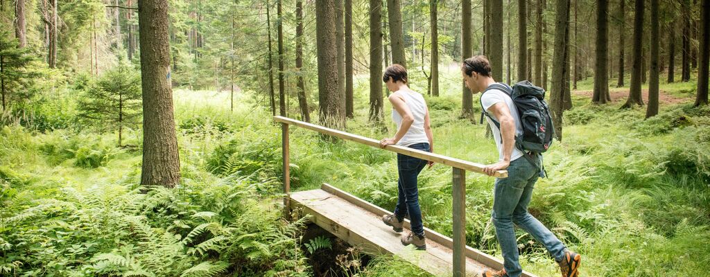 Wandern im Waldviertel