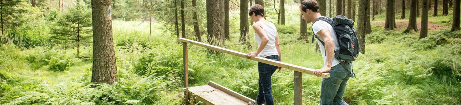 Wandern im Waldviertel