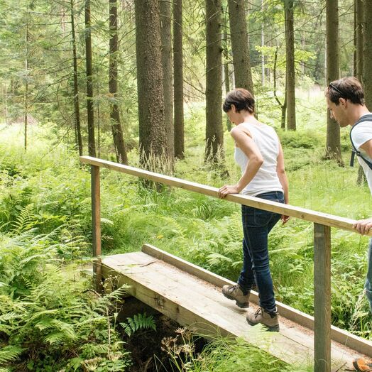 Wandern im Waldviertel