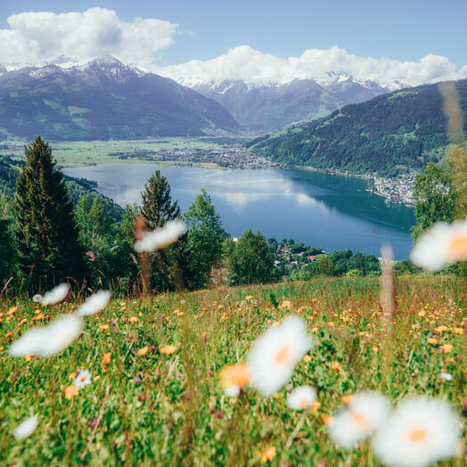 Zell am See (c) Salzburgerland Tourismus