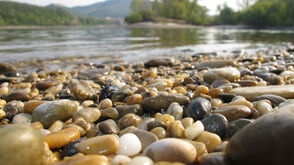 Unterwegs im Nationalpark Donau-Auen 