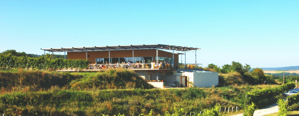„Weinbeisserei“ in Mollands im Kamptal