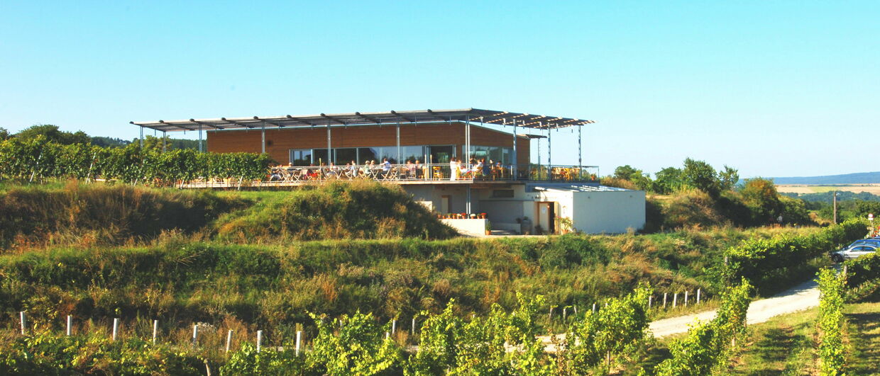 „Weinbeisserei“ in Mollands im Kamptal
