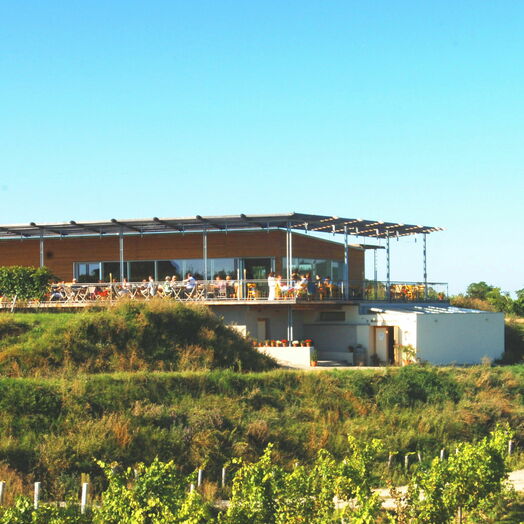 „Weinbeisserei“ in Mollands im Kamptal