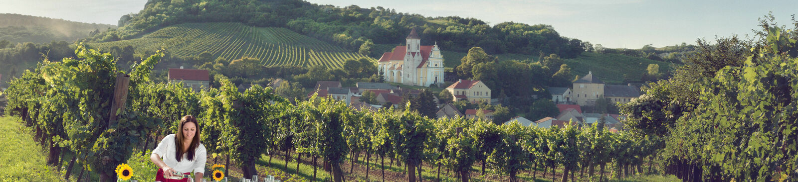 Tafeln im Weinberg