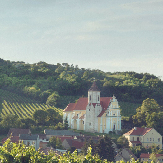 Tafeln im Weinberg