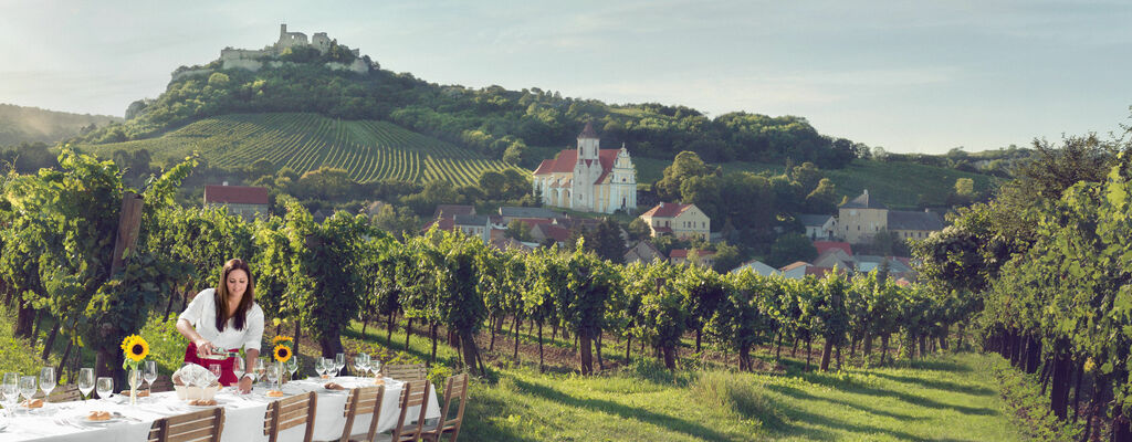 Tafeln im Weinberg