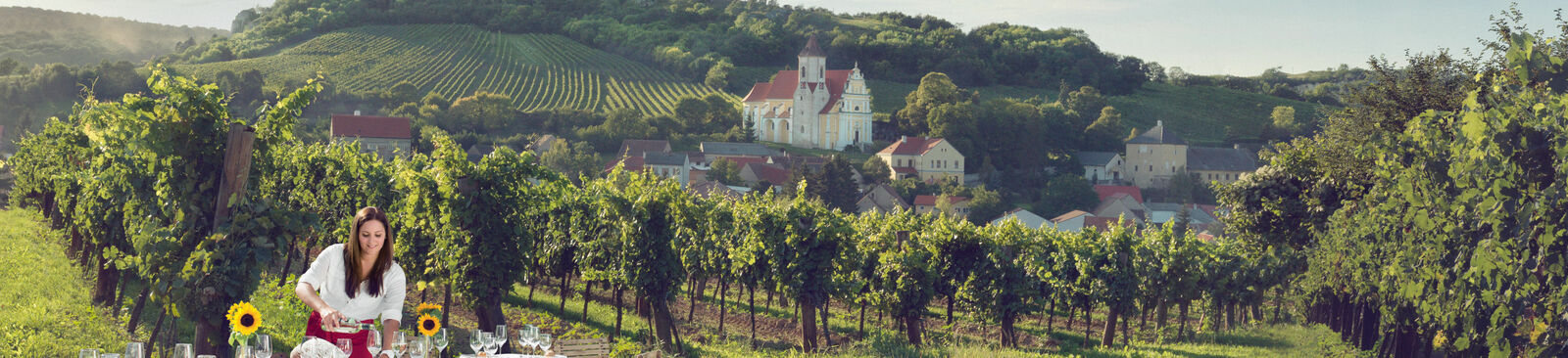 Tafeln im Weinberg