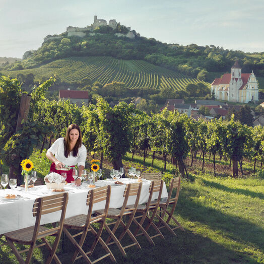 Tafeln im Weinberg