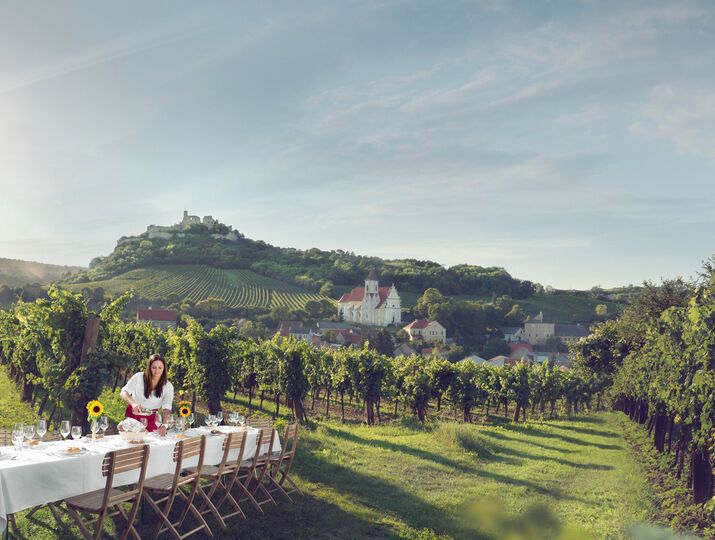 Tafeln im Weinberg